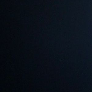 Meet your Posher, Sammy